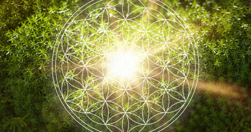 July 9-10, 2022 Class: “I AM Ascending Within the Quantum Frequencies of the Crystalline Grid & New Earth Timeline” – Green Bay, WI Area